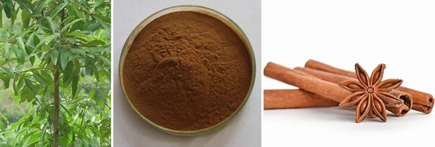 Cinnamon Extract 
