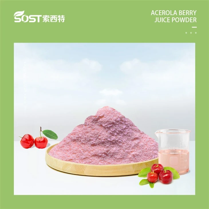 Acerola Berry Extract2