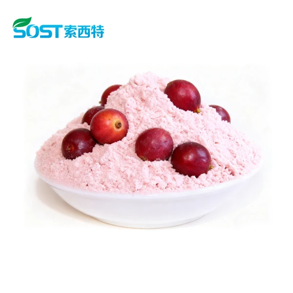 Camu Camu Fruit Powder