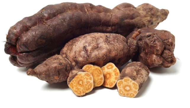 Applications Of Polygonum Multiflorum Extract Applications Of Polygonum Multiflorum Extract