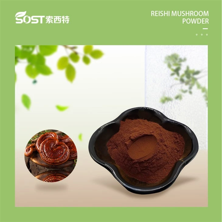 Organic Red Reishi Mushroom Powder