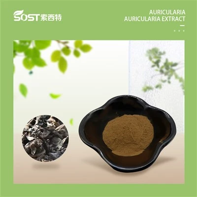 Auricularia auricula judae väljavõte