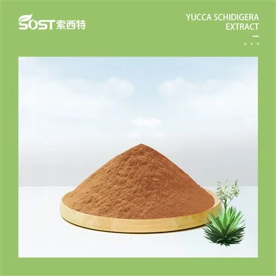 Yucca Schidigera pulber
