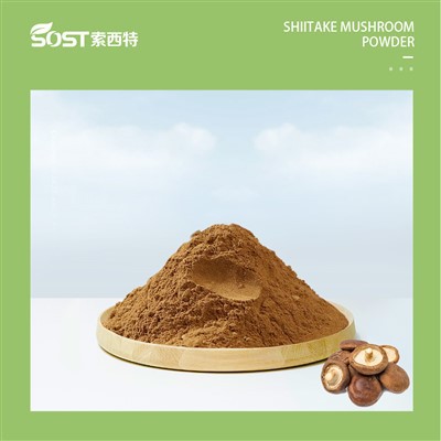 Shiitake seente pulber