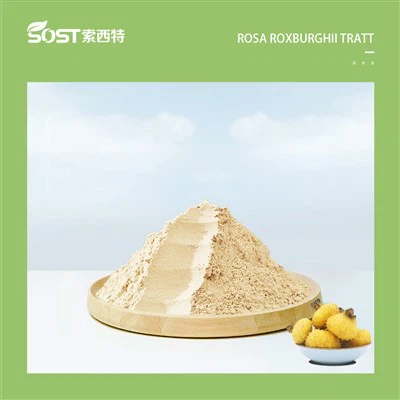 Superoksiiddismutaas SOD pulber