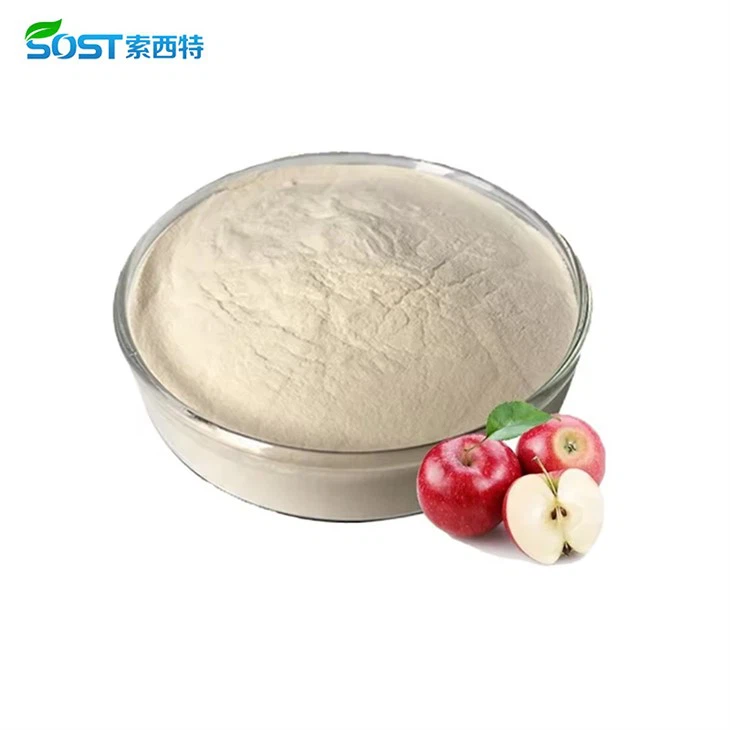 Dried Apple Juice Powder