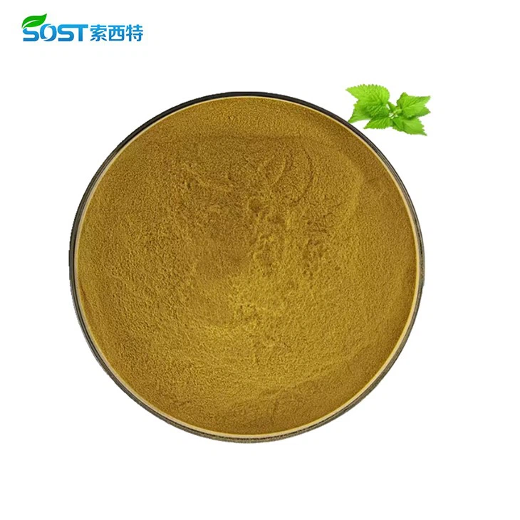 Nettle Extract Powder