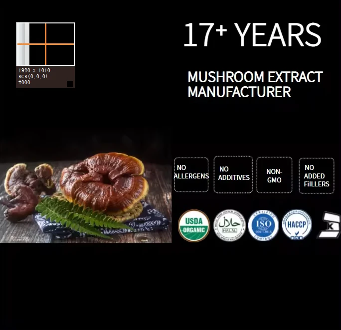 Organic Red Reishi Mushroom Powder